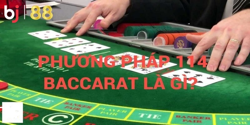 Nguyên lý của phương pháp 114